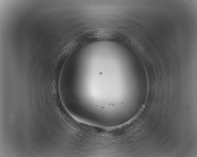 X0000062600689200512281359