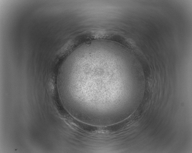 X0000062600691200512281359