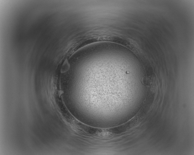 X0000062600695200512281359