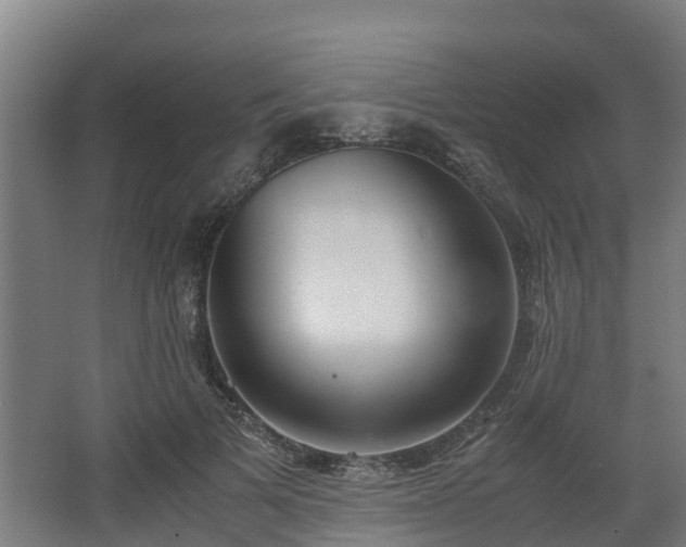 X0000062600697200512281359