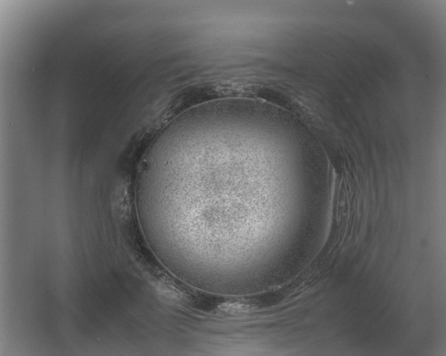 X0000062600699200512281358