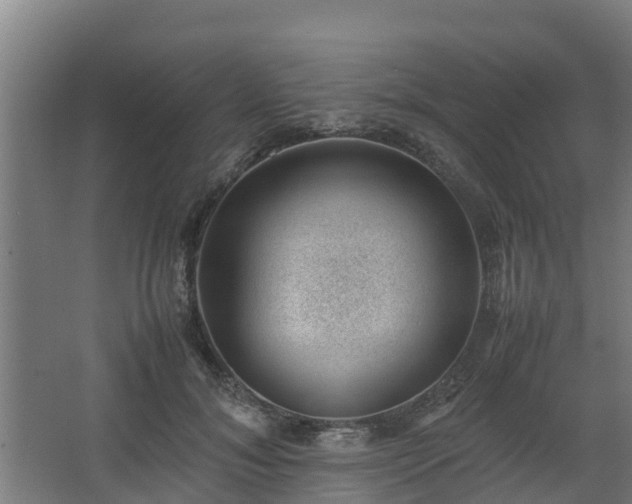 X0000062600700200512281358