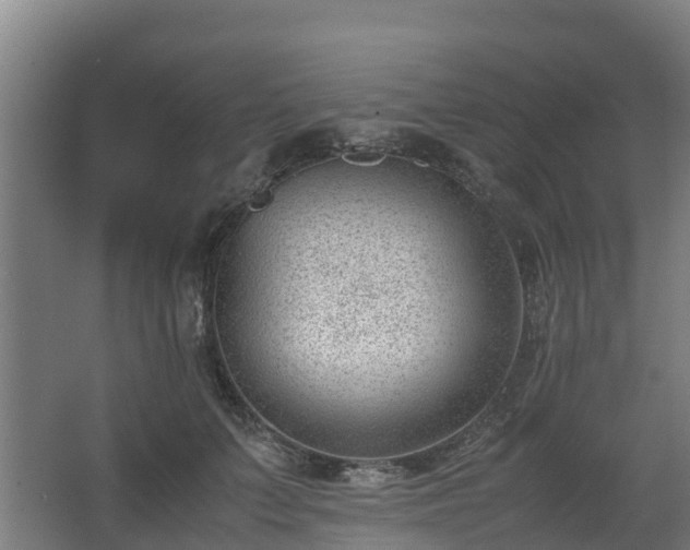 X0000062600703200512281358