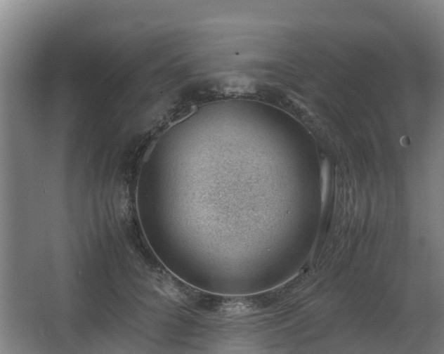 X0000062600704200512281358