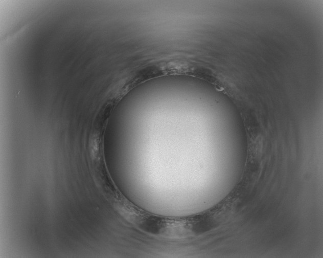 X0000062600709200512281358