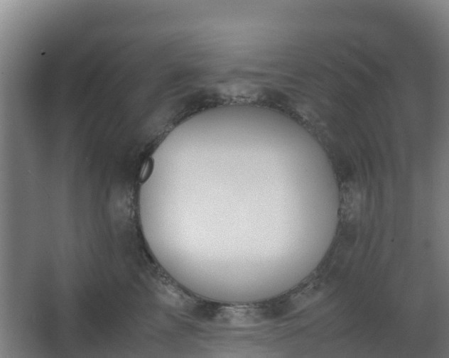 X0000062600713200512281358