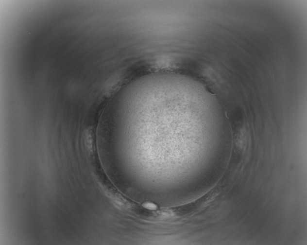 X0000062600715200512281358