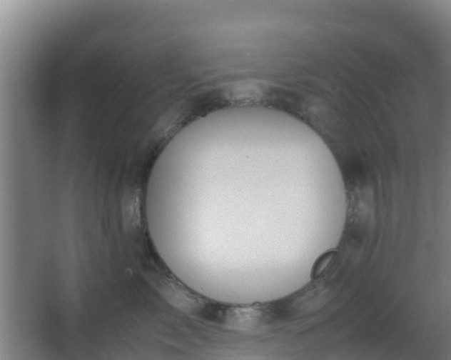 X0000062600717200512281358