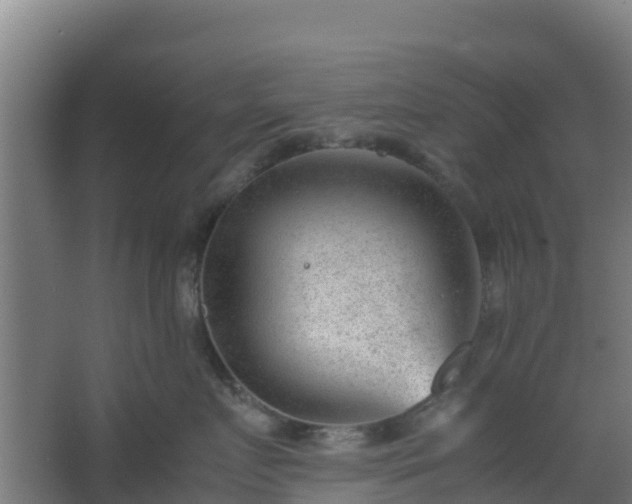 X0000062600719200512281358