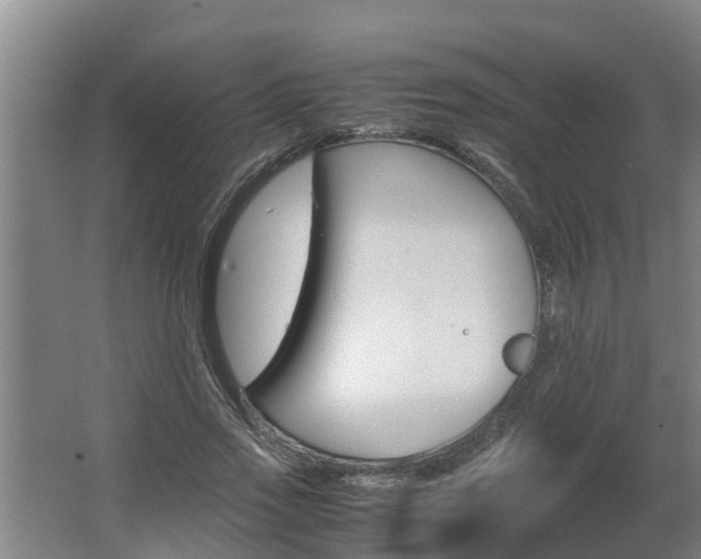 X0000062600733200512281358