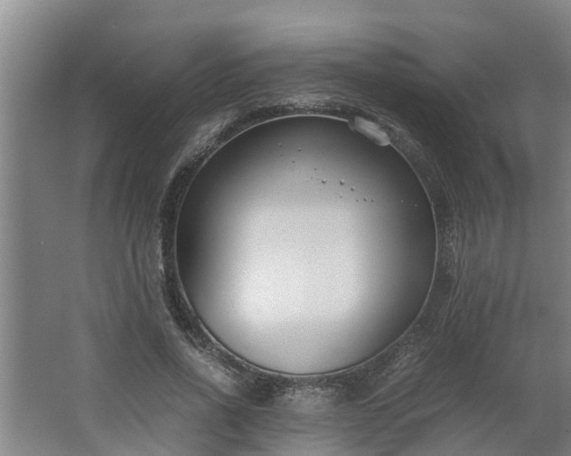 X0000062600734200512281358