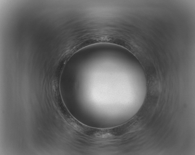 X0000062600747200512281358