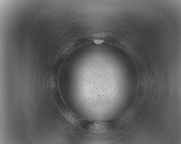 X0000062600758200512281358