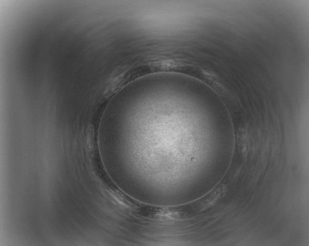 X0000062600760200512281358