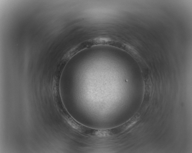 X0000062600762200512281358