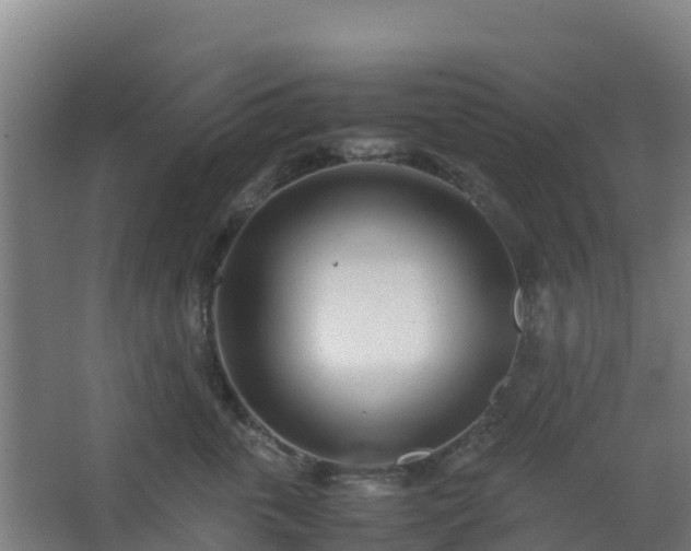 X0000062600763200512281358