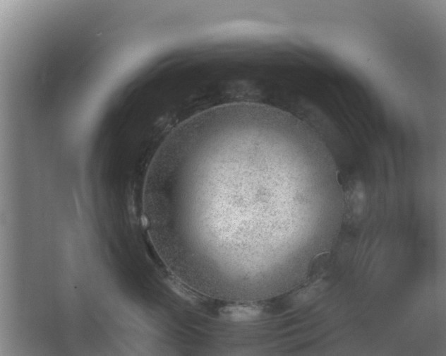 X0000062600765200512281358