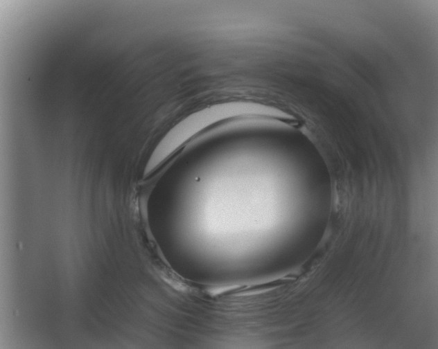 X0000062600766200512281358