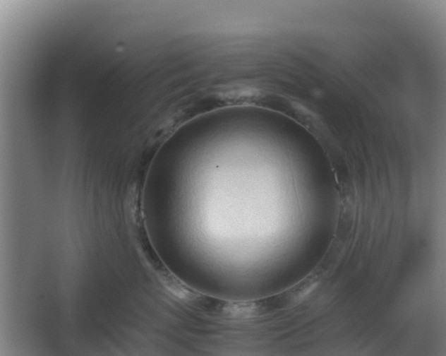 X0000062600767200512281358