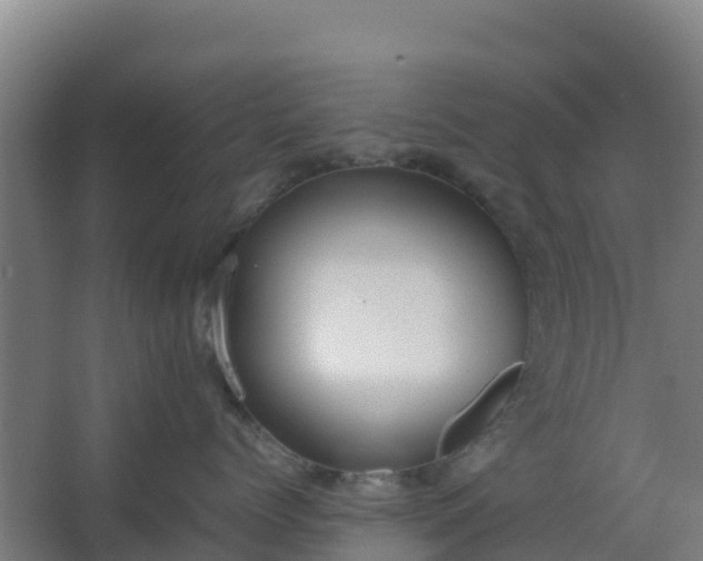 X0000062600768200512281358