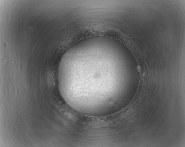 X0000062600772200512281357