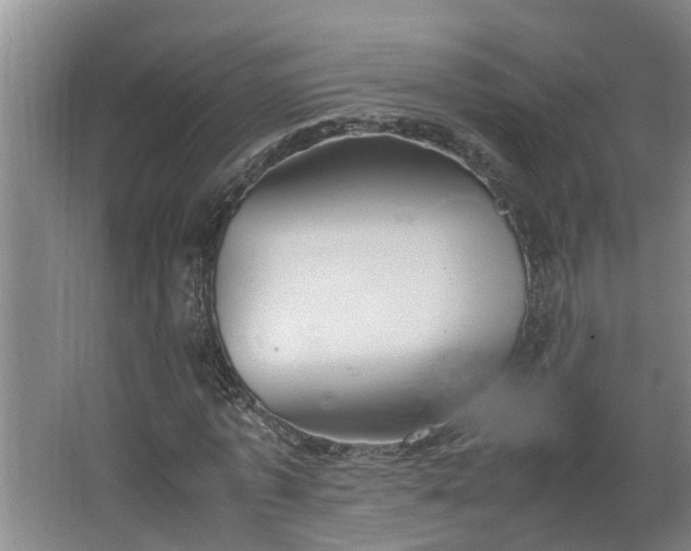 X0000062600773200512281357