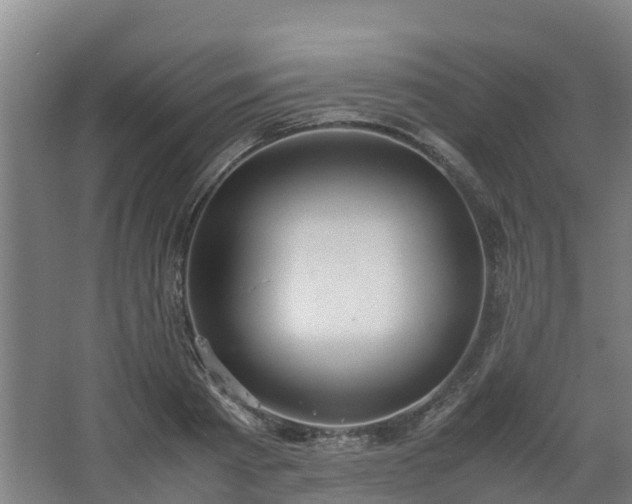 X0000062600793200512281357