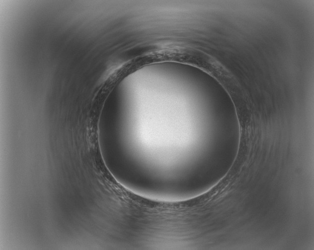 X0000062600822200512281356