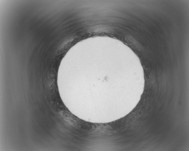 X0000062600824200512281356