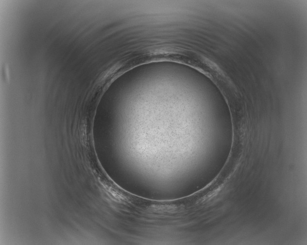 X0000062600825200512281356