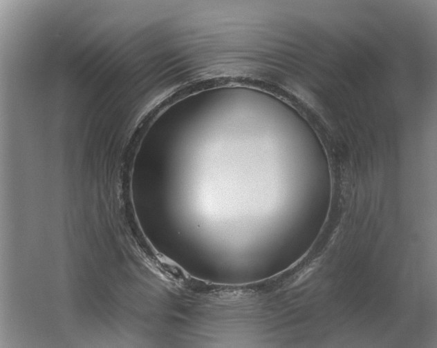 X0000062600826200512281356