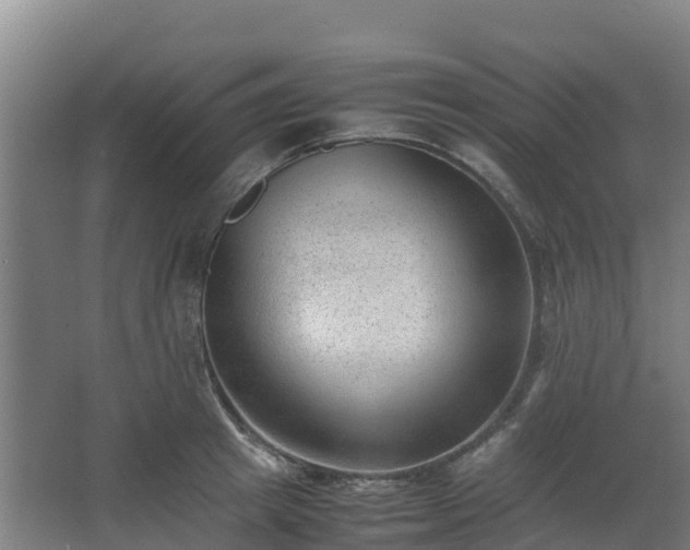 X0000062600849200512281356