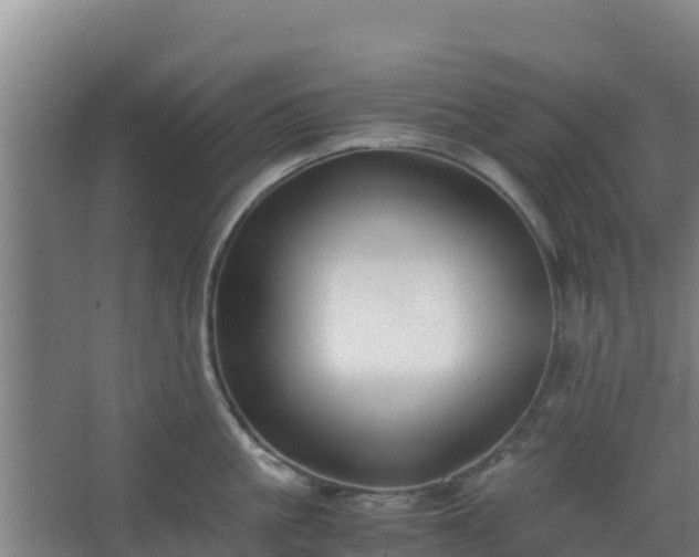 X0000062600861200512281356