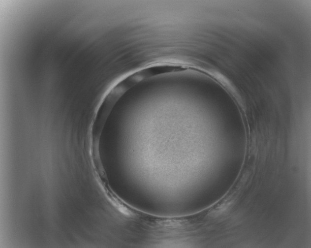 X0000062600862200512281356