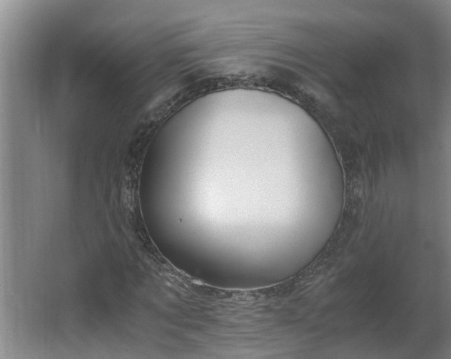 X0000062600869200512281356