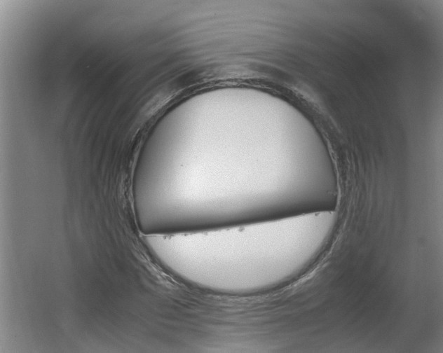 X0000062600873200512281355