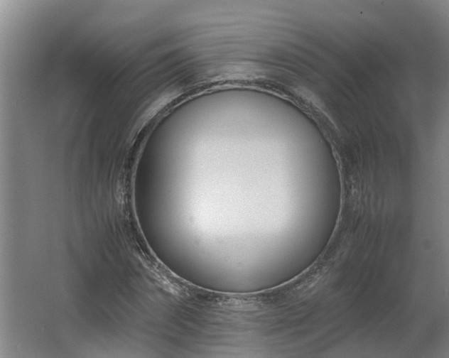 X0000062600874200512281355