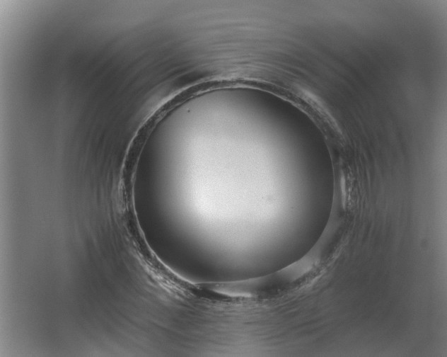 X0000062600876200512281355
