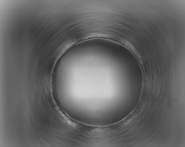 X0000062600898200512281355