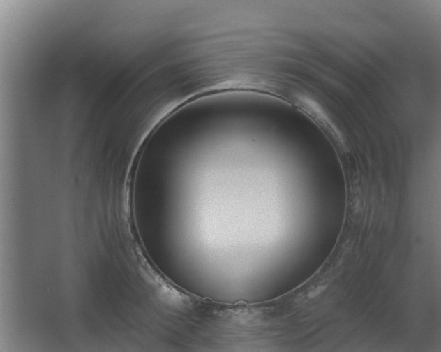 X0000062600900200512281355