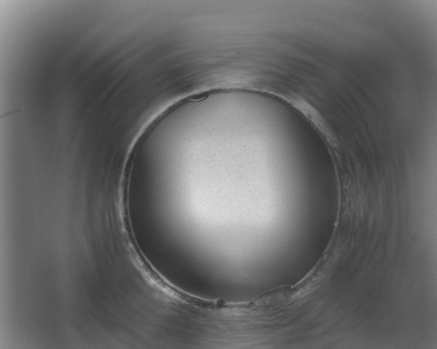 X0000062600904200512281355