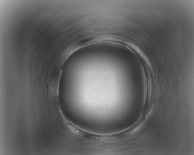 X0000062600905200512281355