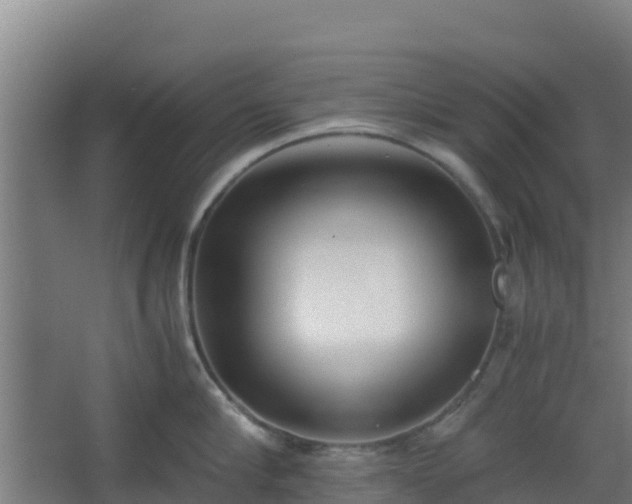 X0000062600910200512281355