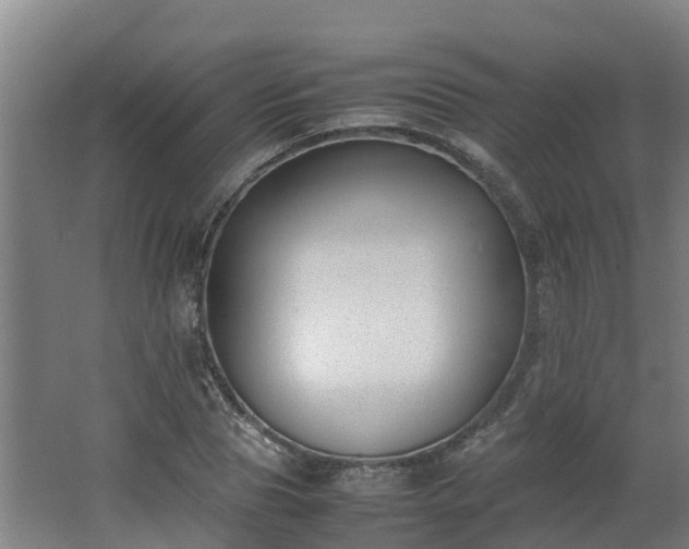 X0000062600929200512281354