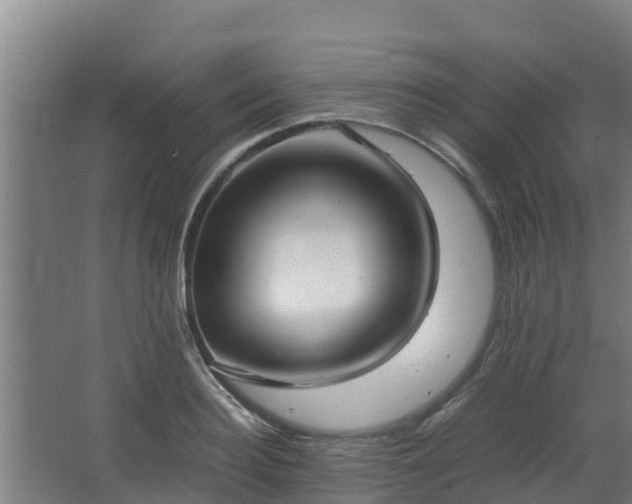 X0000062600940200512281354