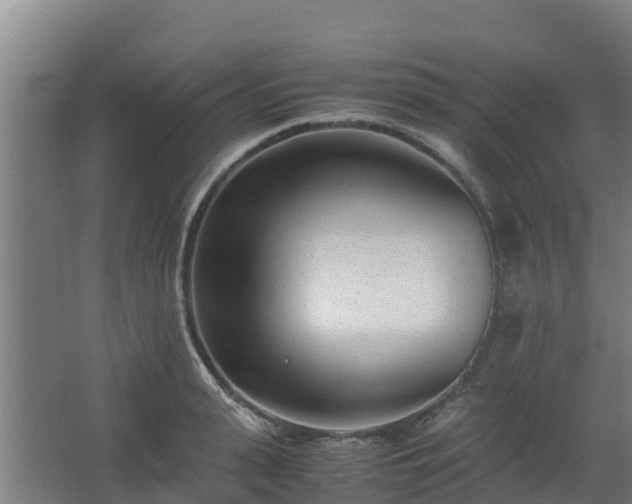 X0000062600943200512281355