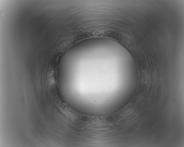 X0000062600962200512281354