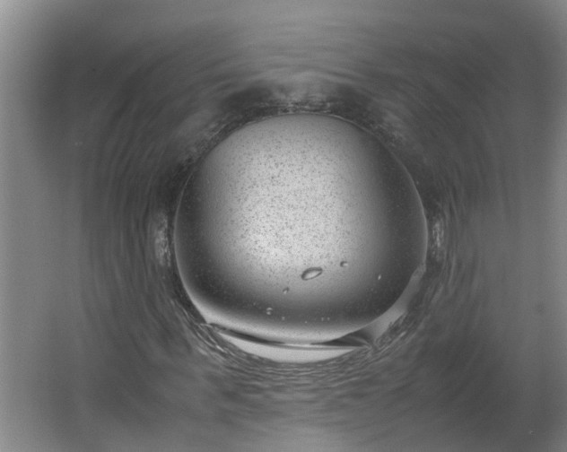 X0000062600963200512281354