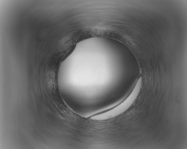 X0000062600964200512281354