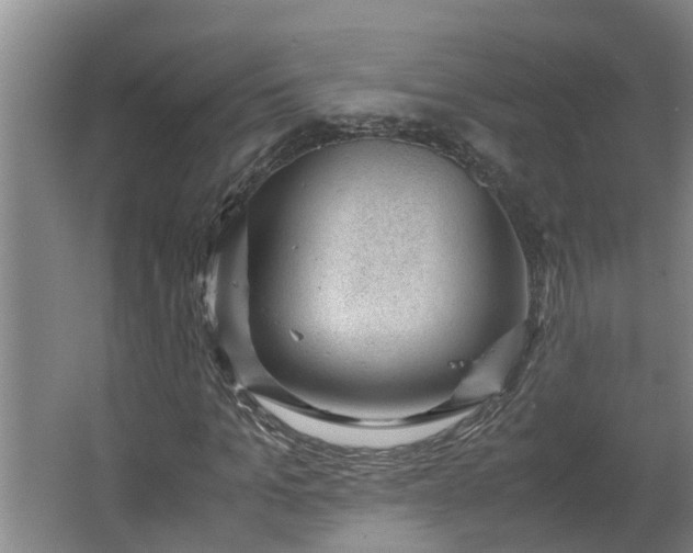 X0000062600965200512281354